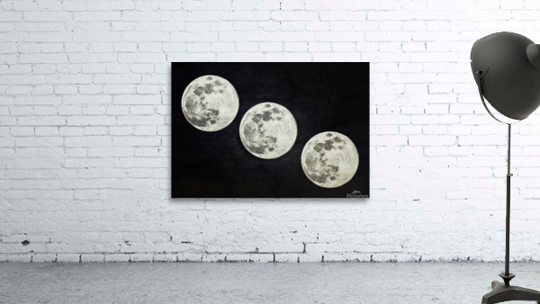 Moon Trio Black and White Wall Preview