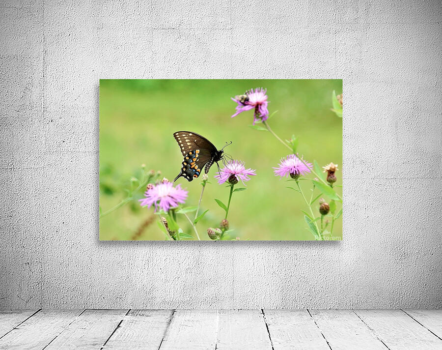 Swallowtail On Wild Flowers Wall Preview