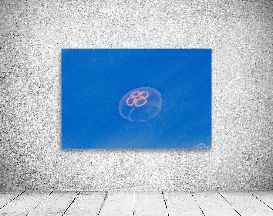 Jellyfish Wall Preview