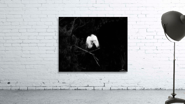 Sharing A Branch Wall Preview