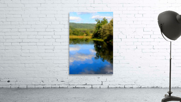 East Branch Of Delaware River Wall Preview