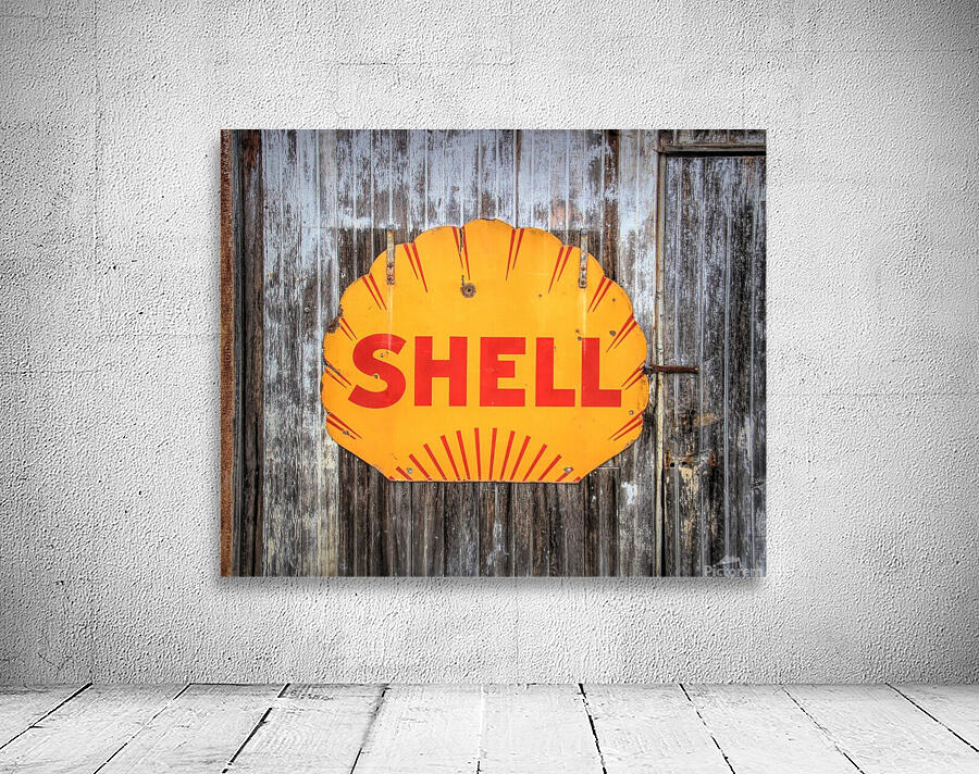 Shell On A Shed Wall Preview