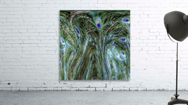 Peacock Underwater Wall Preview