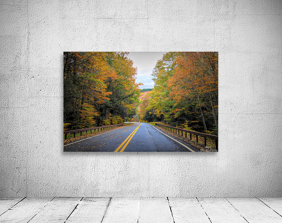 Road Along The Neversink Reservoir Wall Preview