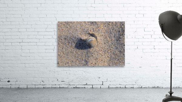 Solo Shell Wall Preview