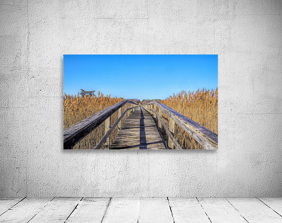 Walkway Through The Wetlands Wall Preview