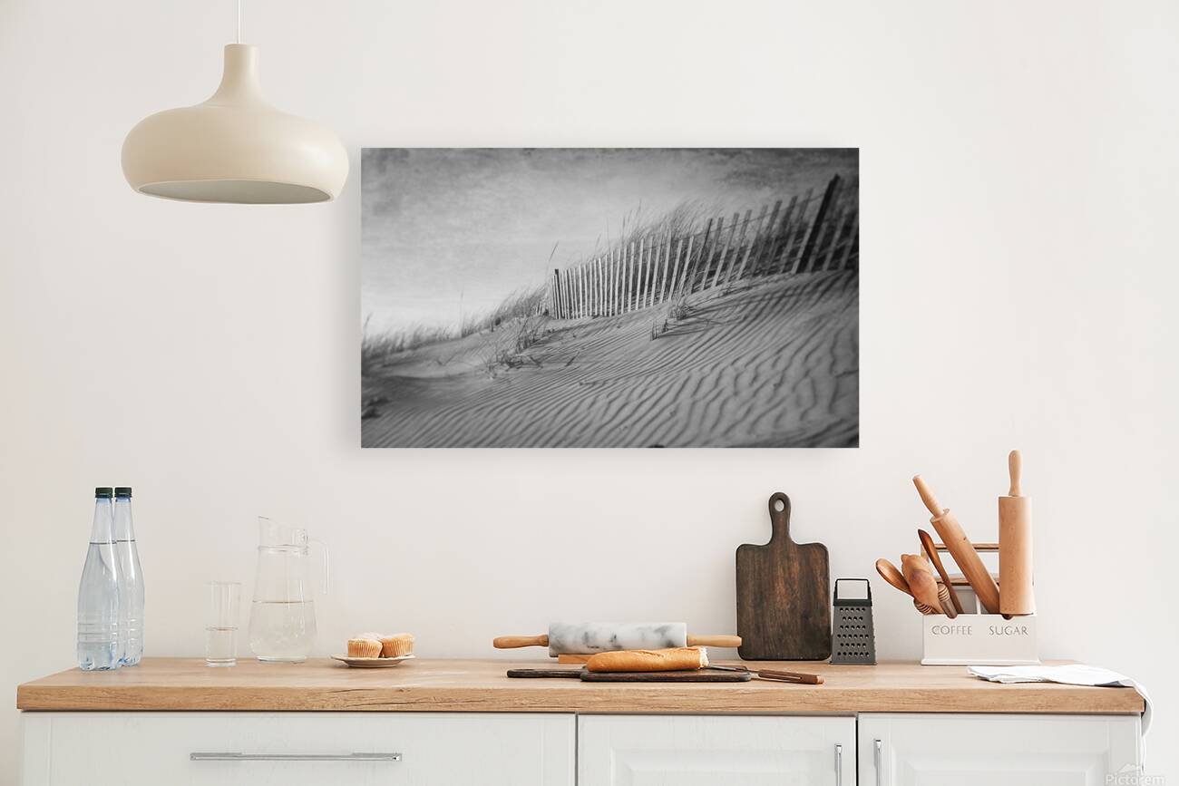 The Dunes In Black and White Reproduction