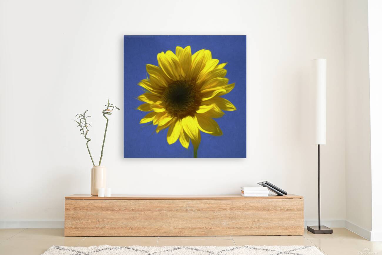 Sunflower And The Sky Reproduction