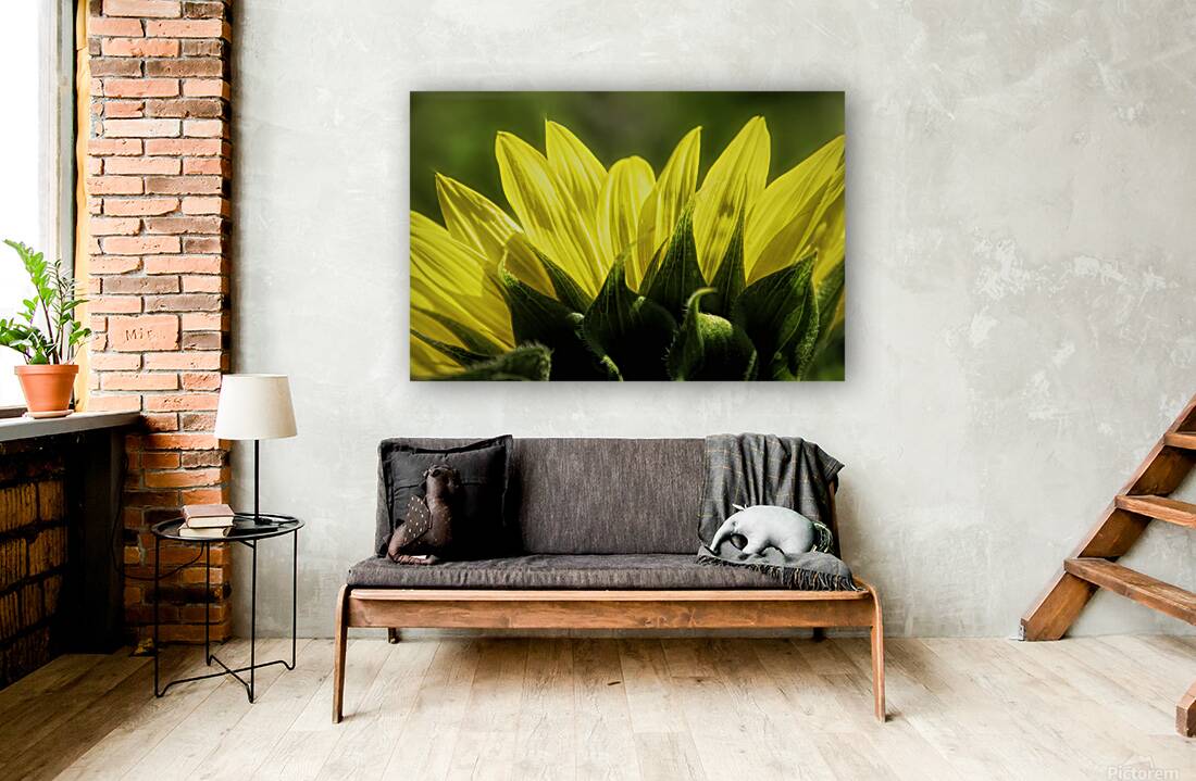 Beauty On The Back Reproduction