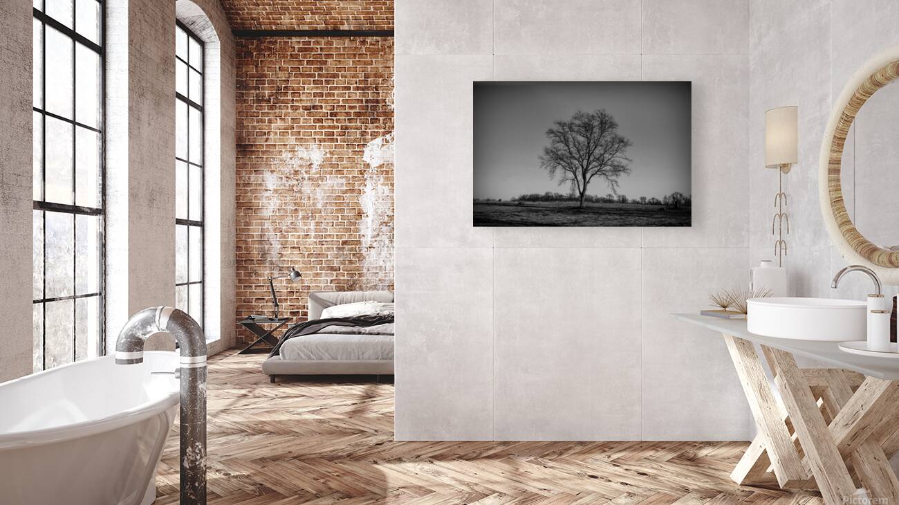 Alone In A Meadow Reproduction