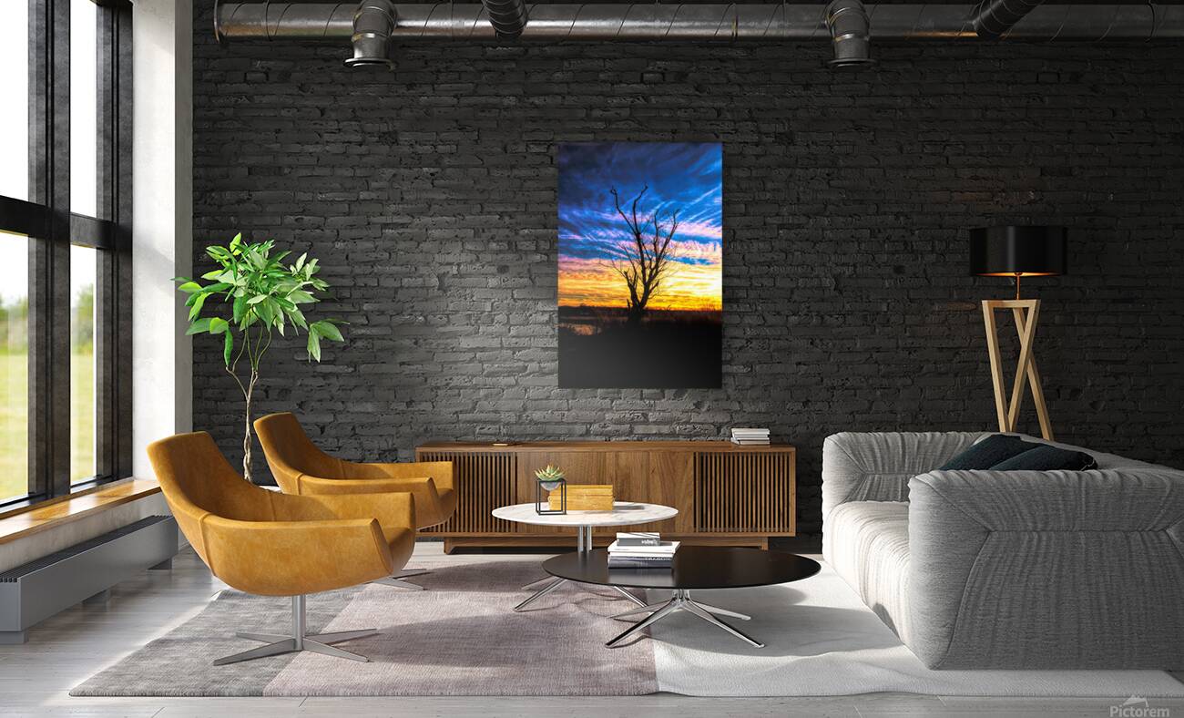 A Sunset Snag Reproduction