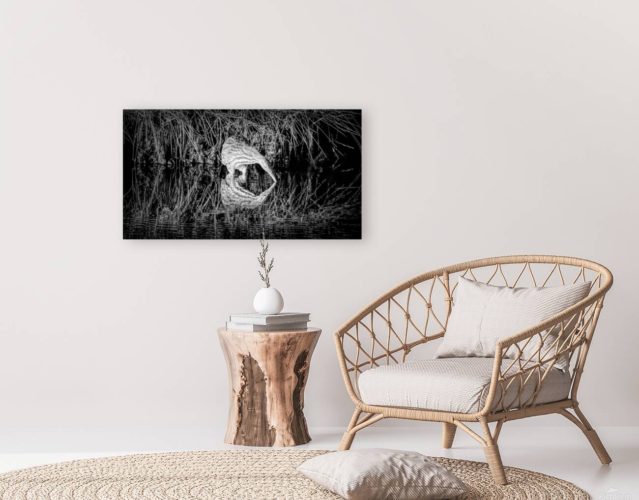 Mirror Reflection Of A Bittern Reproduction