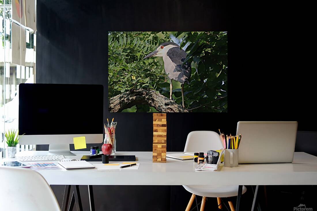 I Thought I Could Hide Reproduction