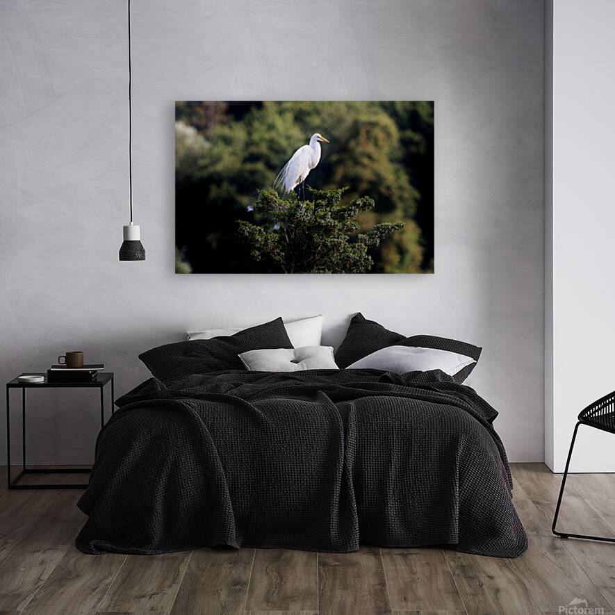 The Lookout Reproduction