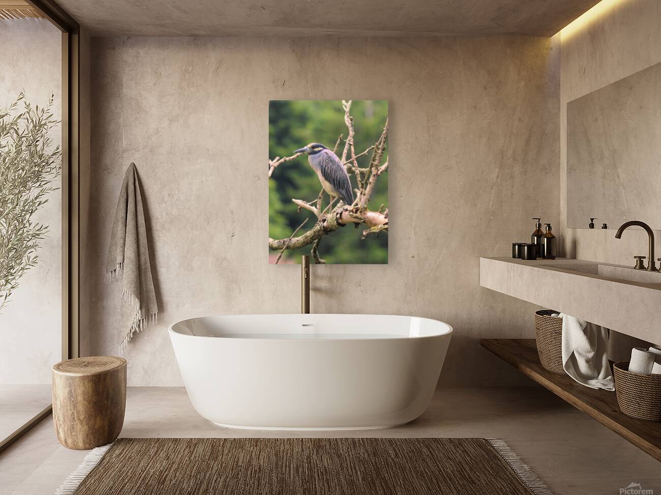 Studious Yellow Crown Reproduction