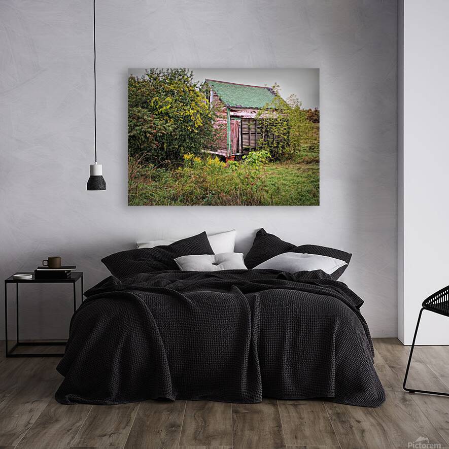 Forgotten Shed  Reproduction