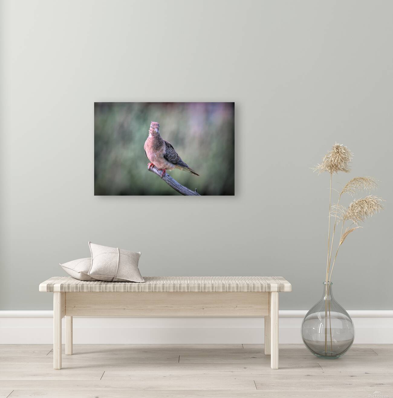 Sleeping With One Eye Open Reproduction