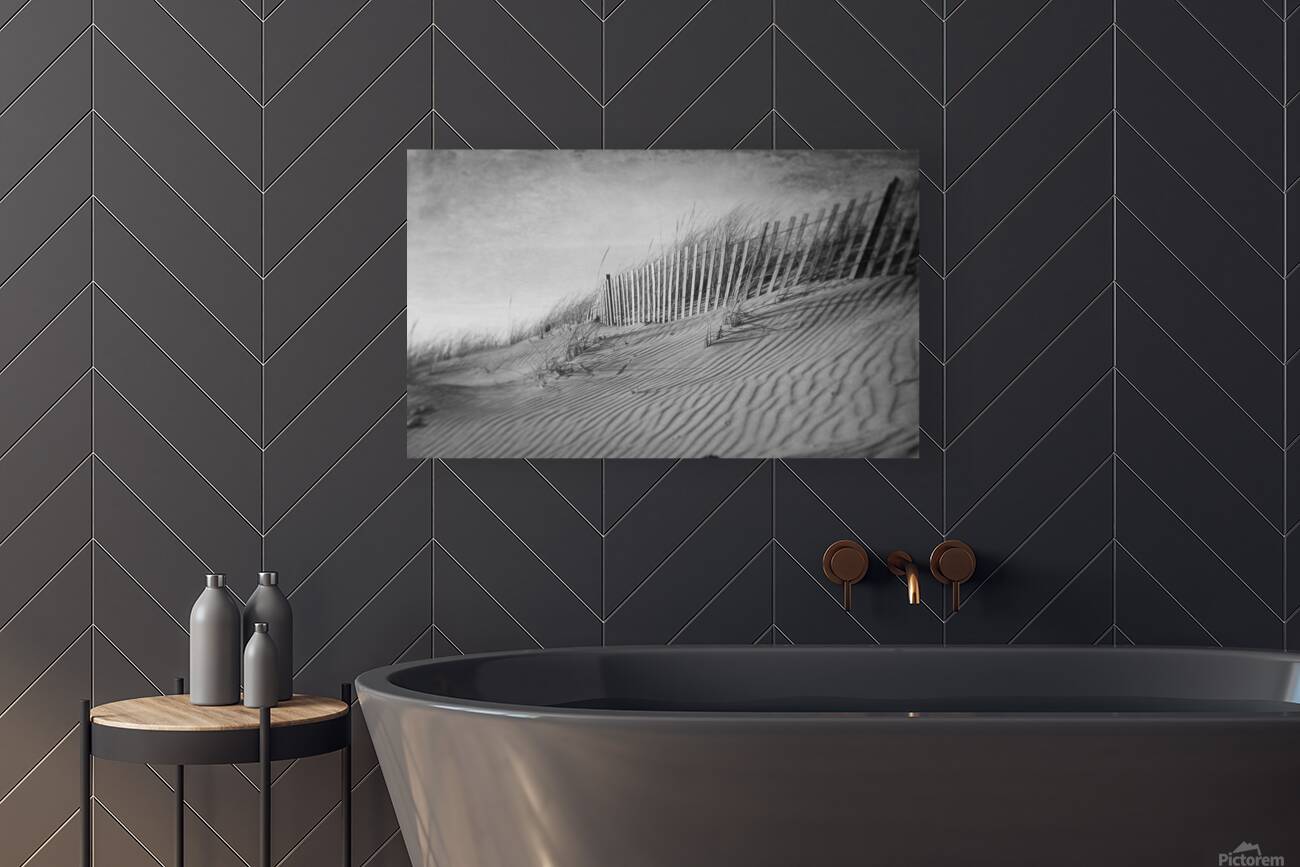 The Dunes In Black and White Reproduction