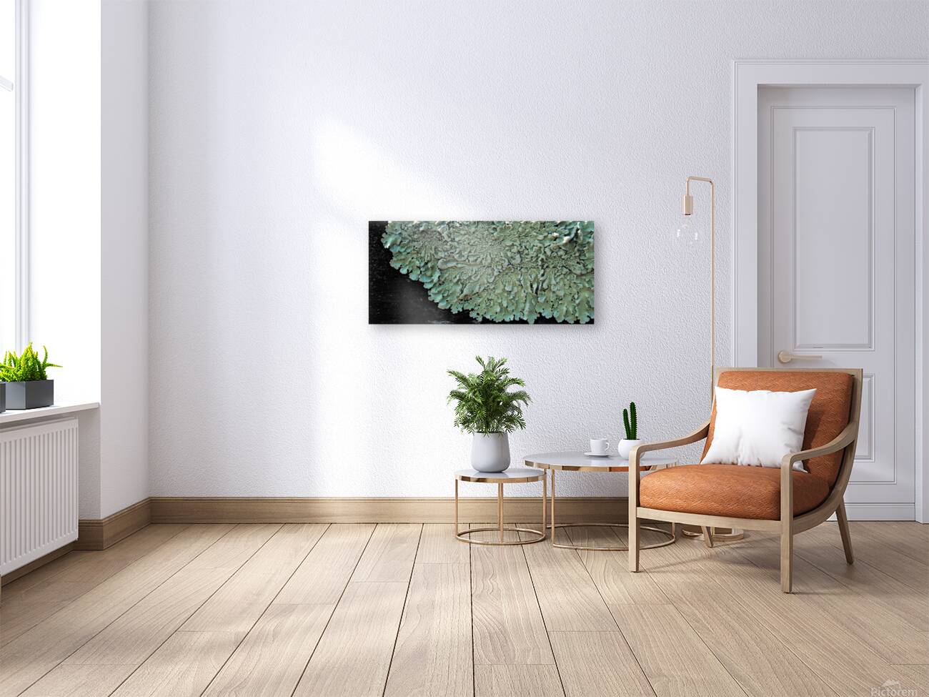 Lichen On Wood Reproduction