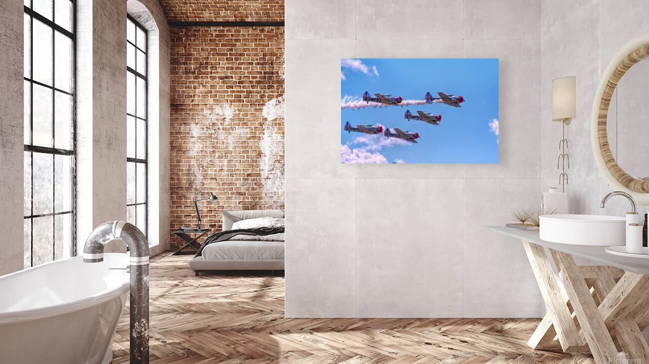 Skytypers  Reproduction