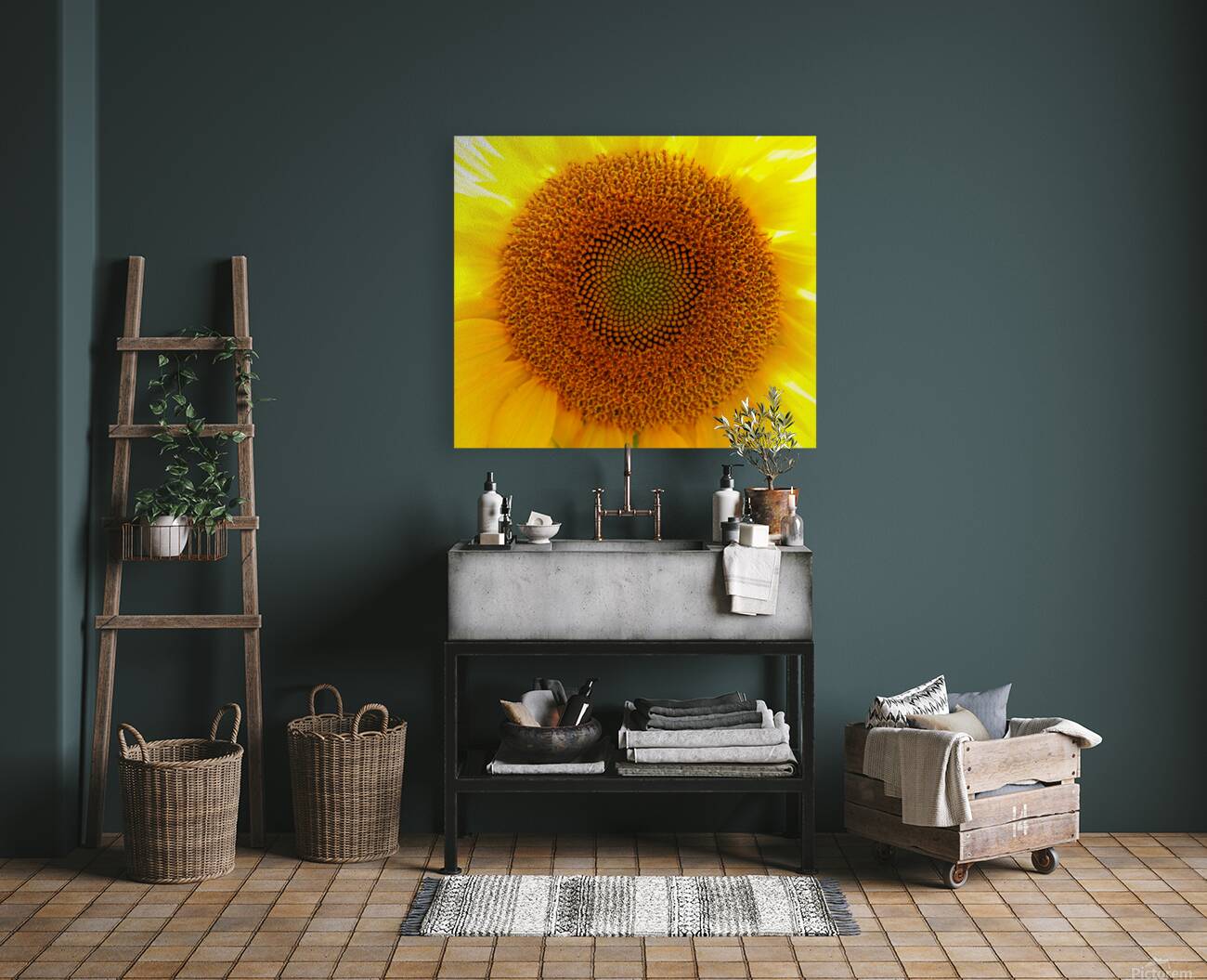 Fibonaccis Spiral  Reproduction