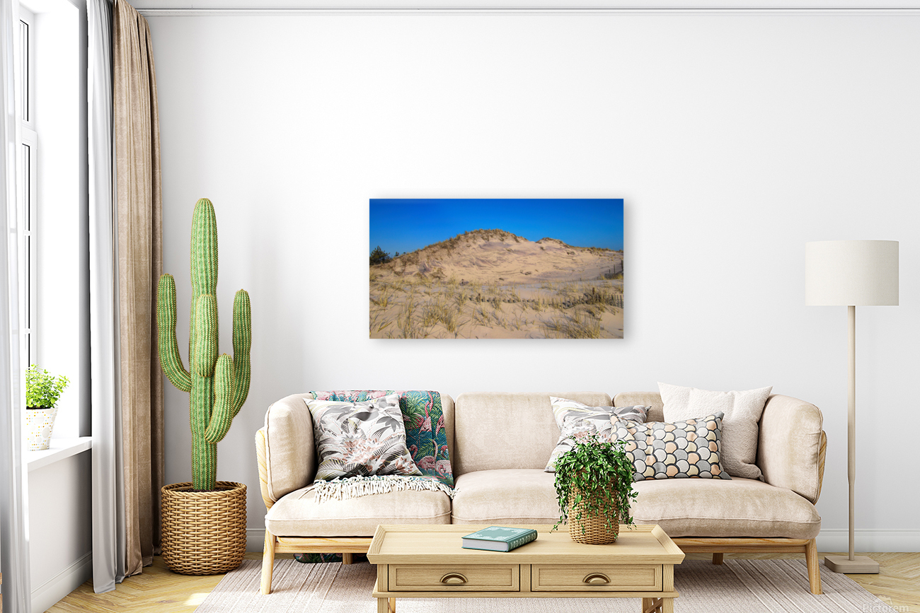 Dunes Reaching For The Sky Reproduction