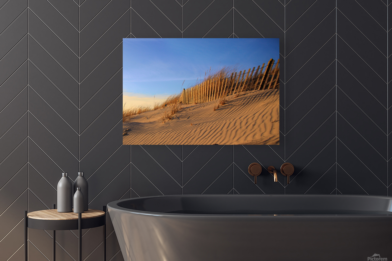 Dunes At Shinnecock Inlet Reproduction