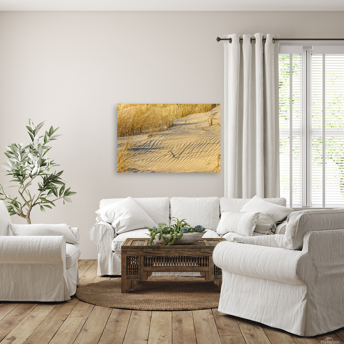 Golden Light On The Dune Reproduction