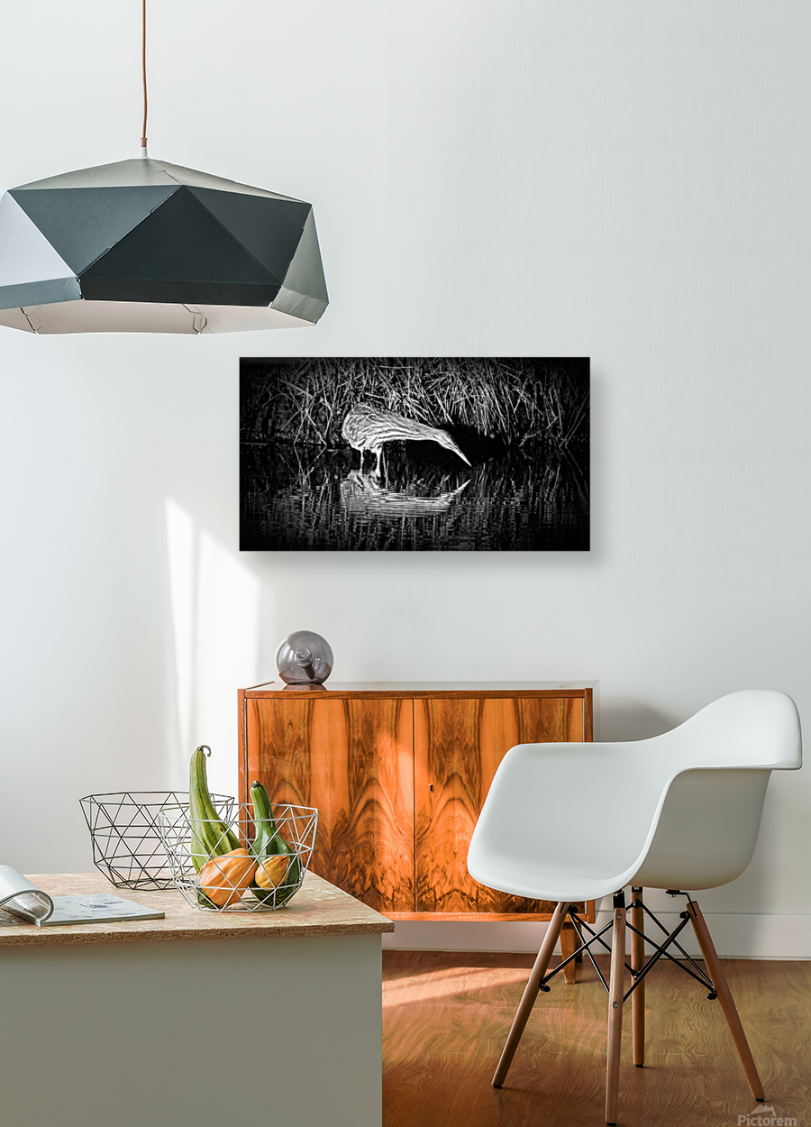 Bittern Reflection In Black and White Reproduction