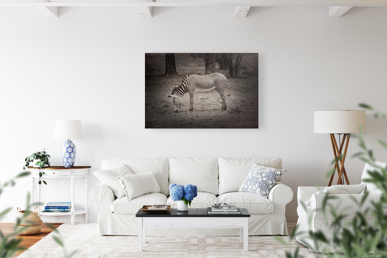 Sleeping While Standing In Black and White Reproduction