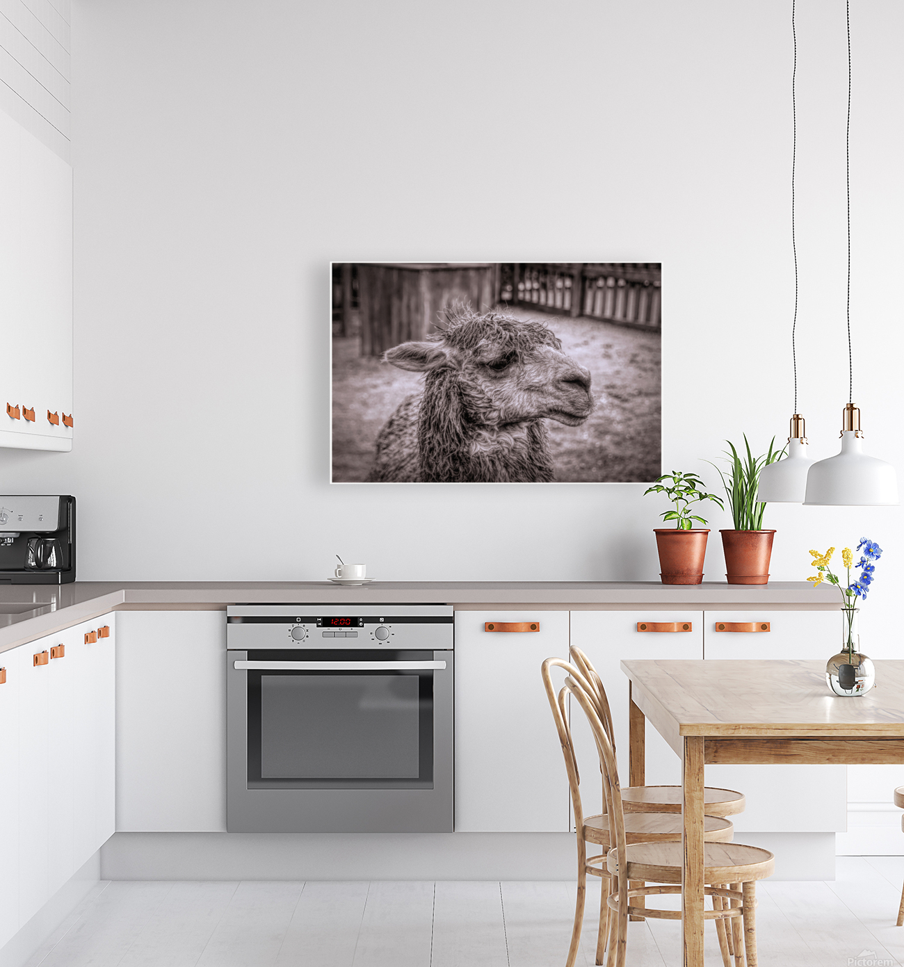 A Is For Alpaca Reproduction