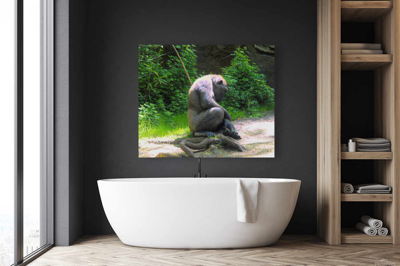 Mid Day Nap Reproduction