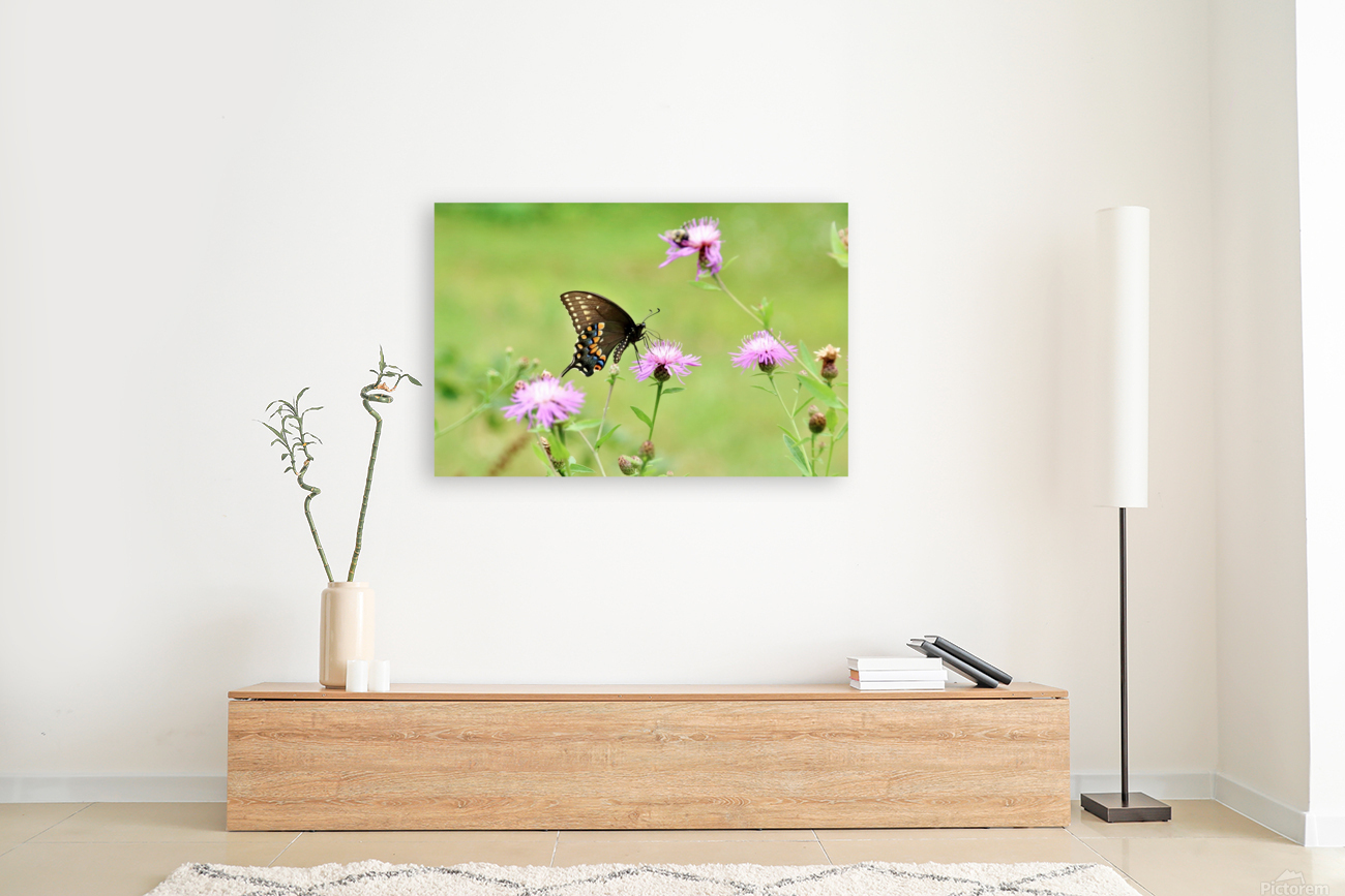 Swallowtail On Wild Flowers Reproduction