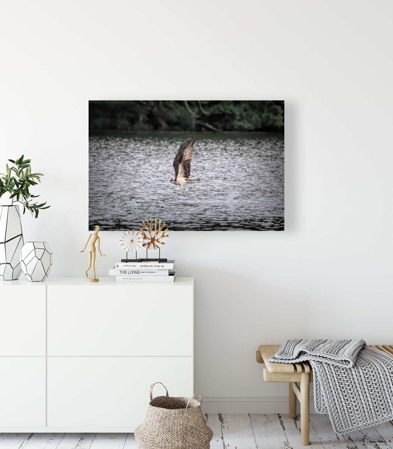 What Will The Osprey Catch Reproduction