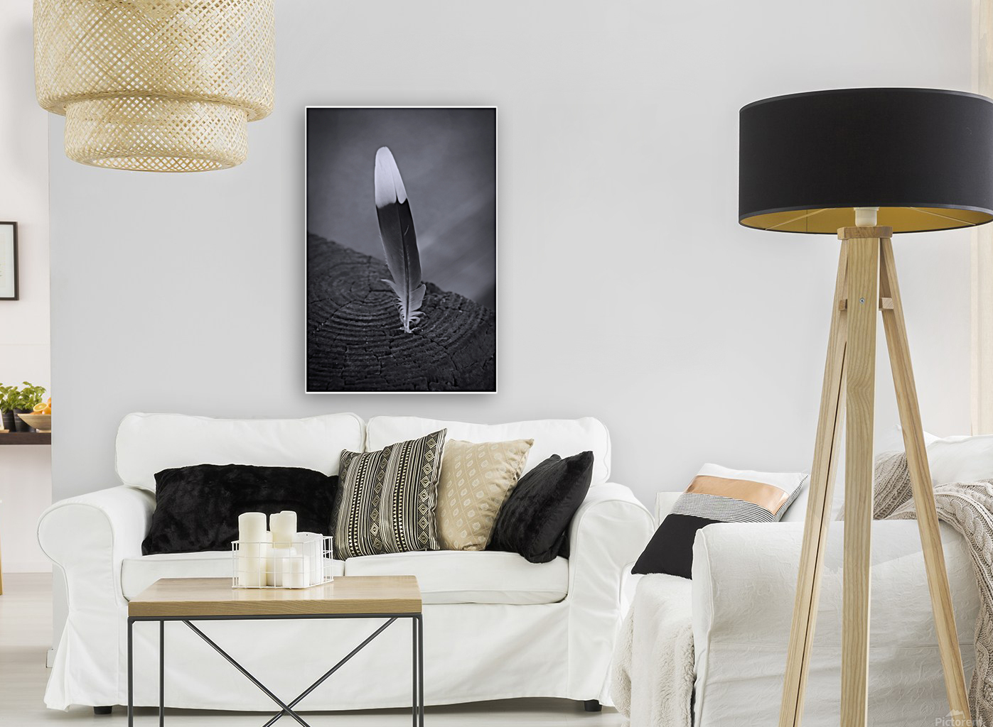 Black and White Feather Reproduction