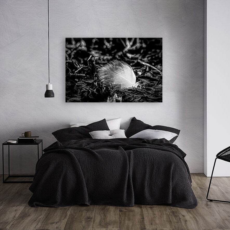 White Feather Reproduction