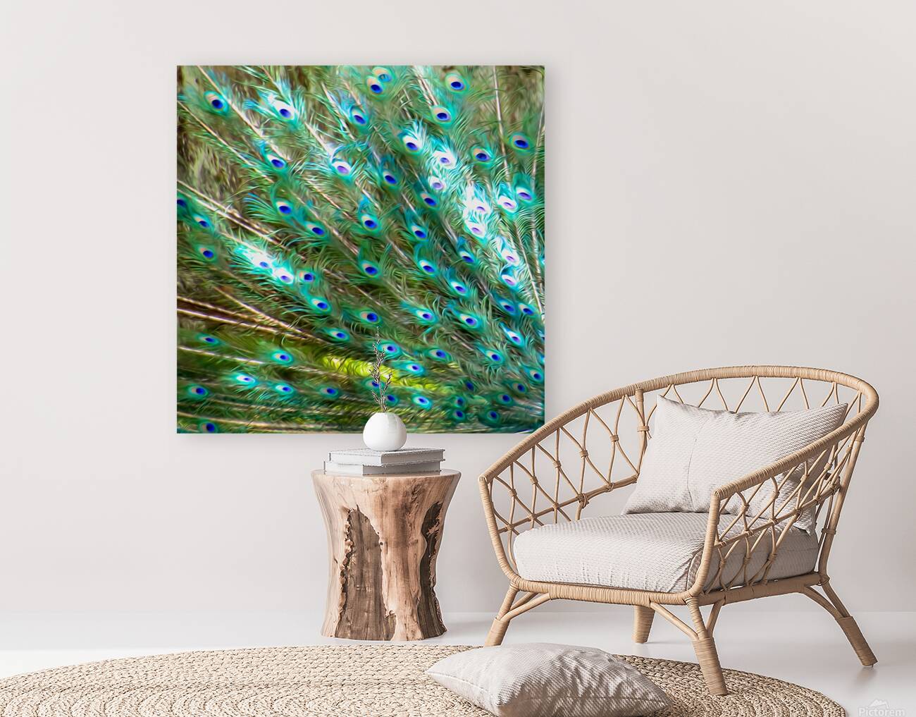 Peacock Feathers Reproduction