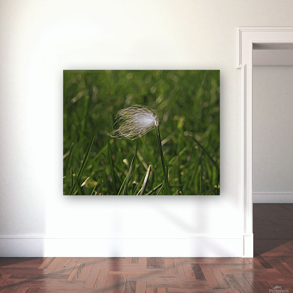 Feather Stuck O A Blade Of Grass Reproduction