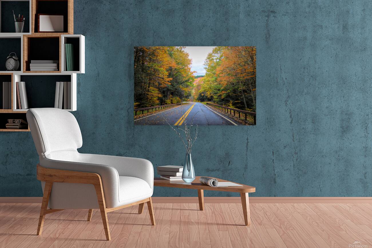 Road Along The Neversink Reservoir Reproduction