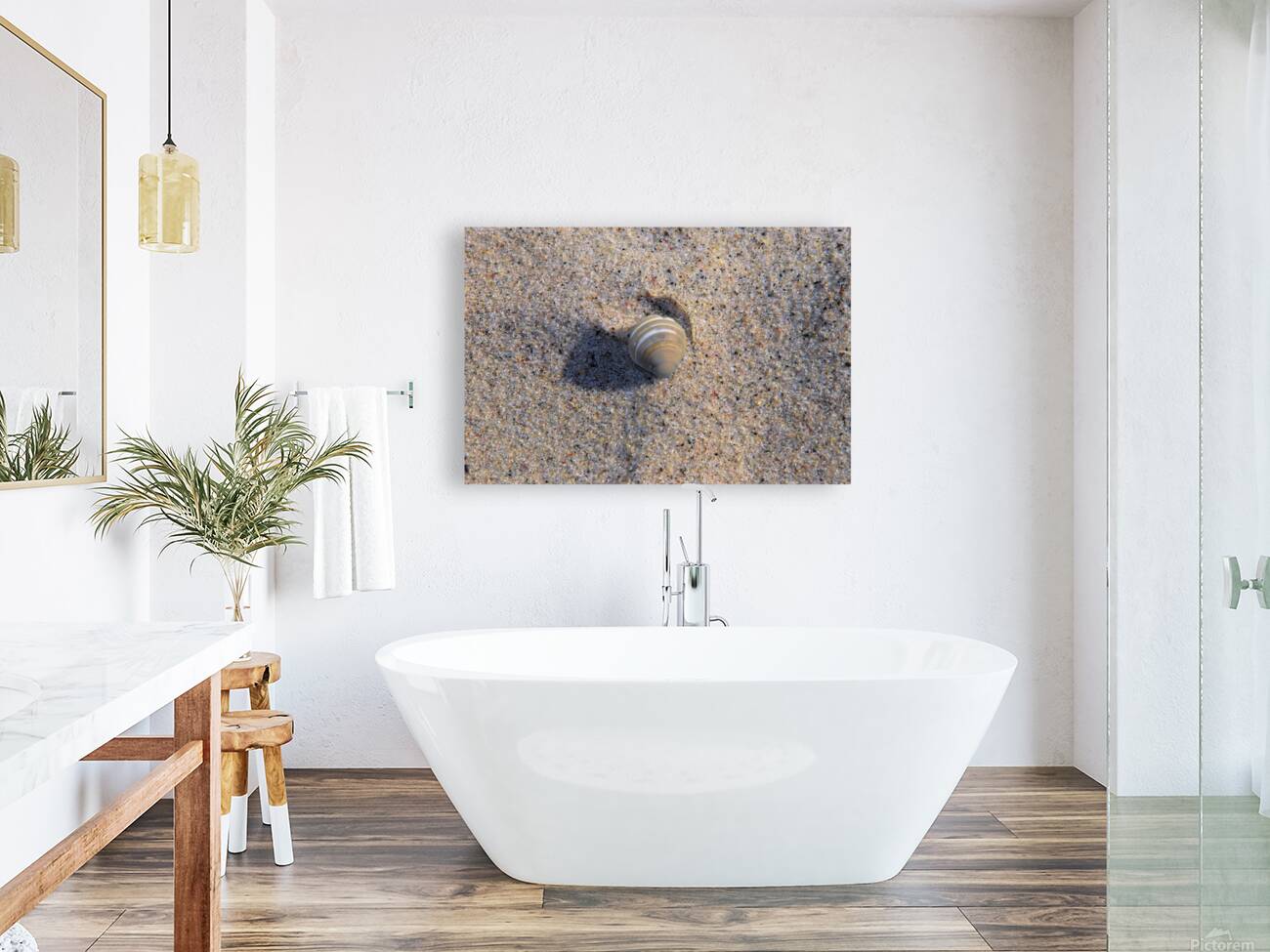 Solo Shell Reproduction