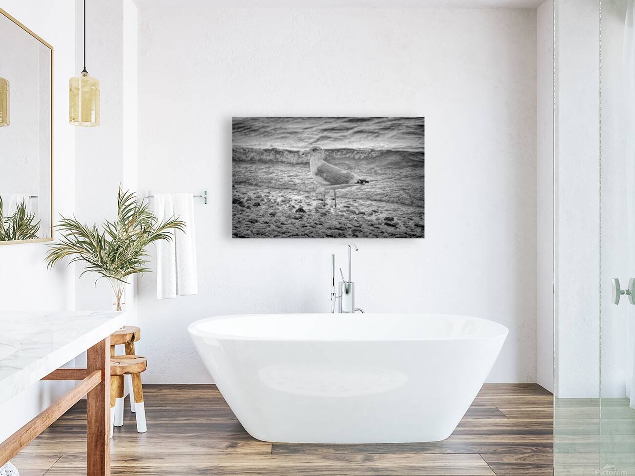 Black and White Sea Gull  Reproduction