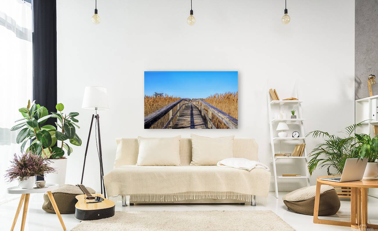 Walkway Through The Wetlands Reproduction