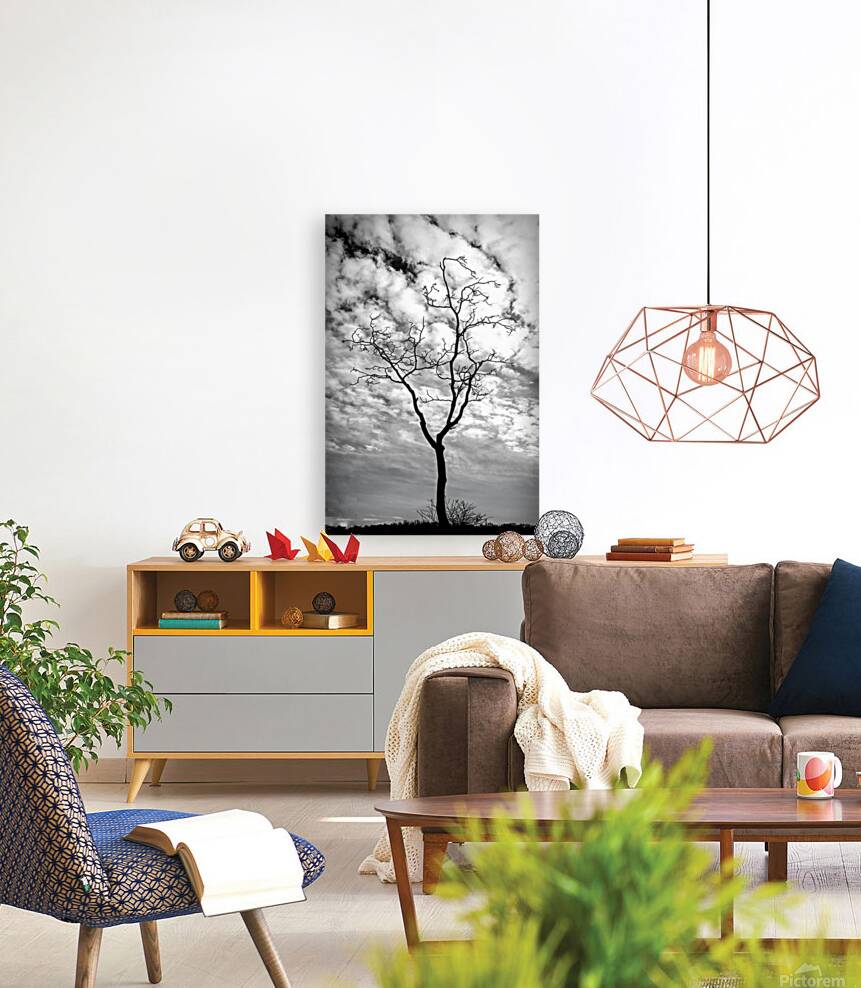 A Snag In Black and White Reproduction