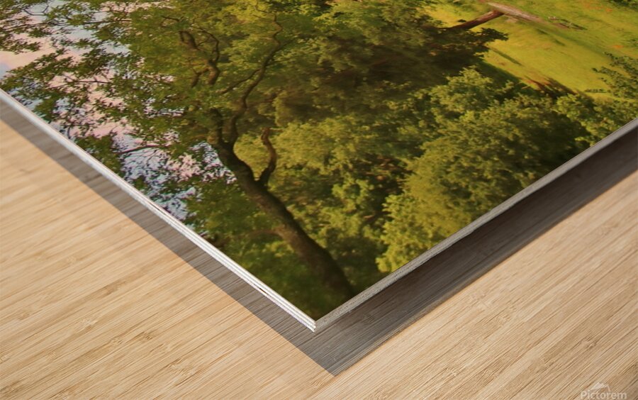 A Glorious Place To Visit Wood print