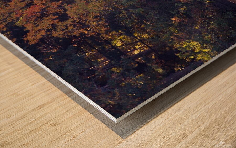 Dad And Sons Fishing Wood print