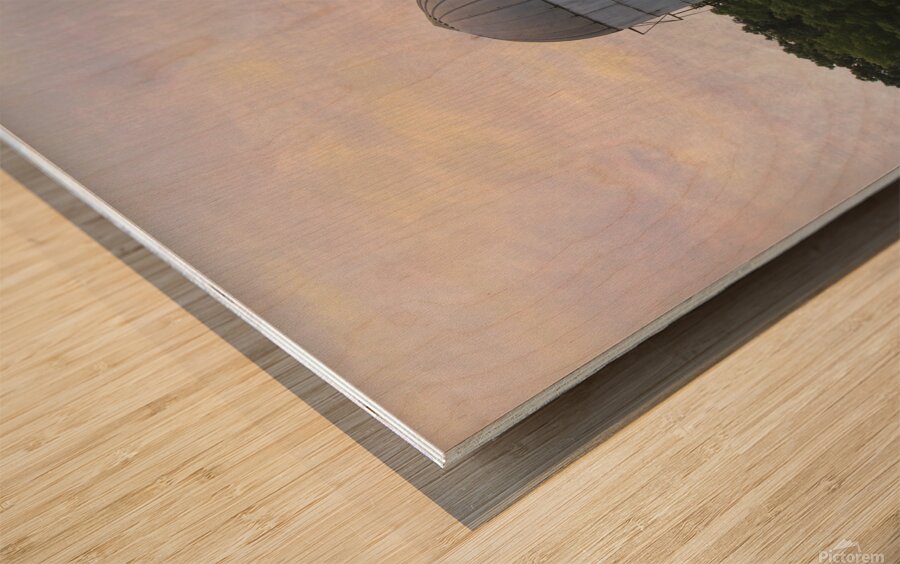 Silos Just Above The Trees Wood print