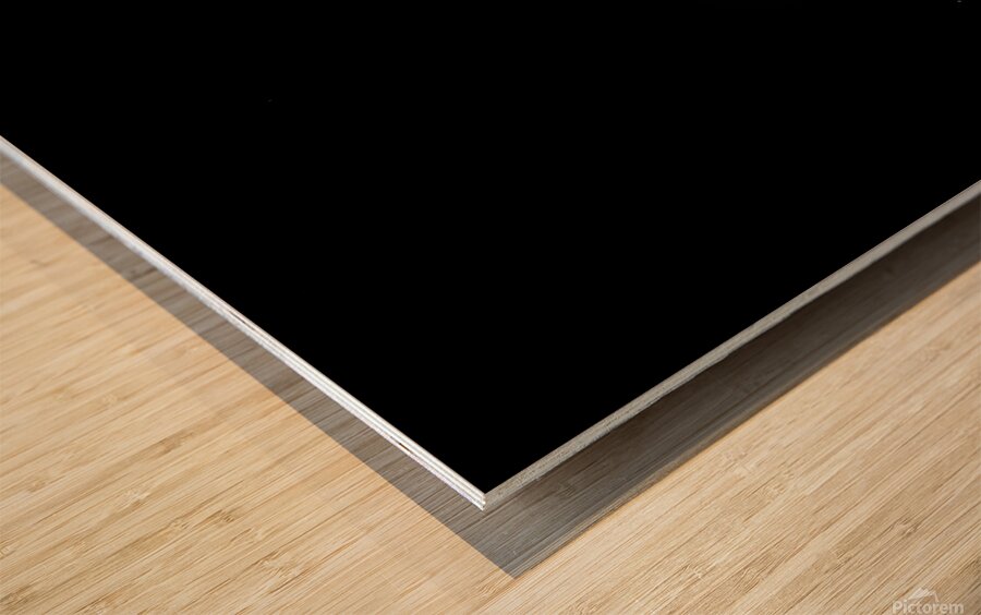 Freedom Tower in Black and White Wood print