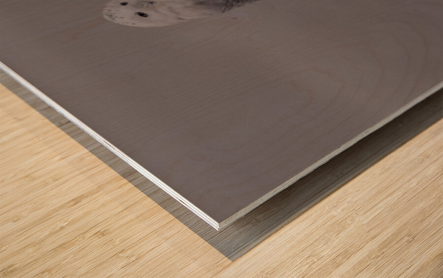 Snow In The Fog Wood print