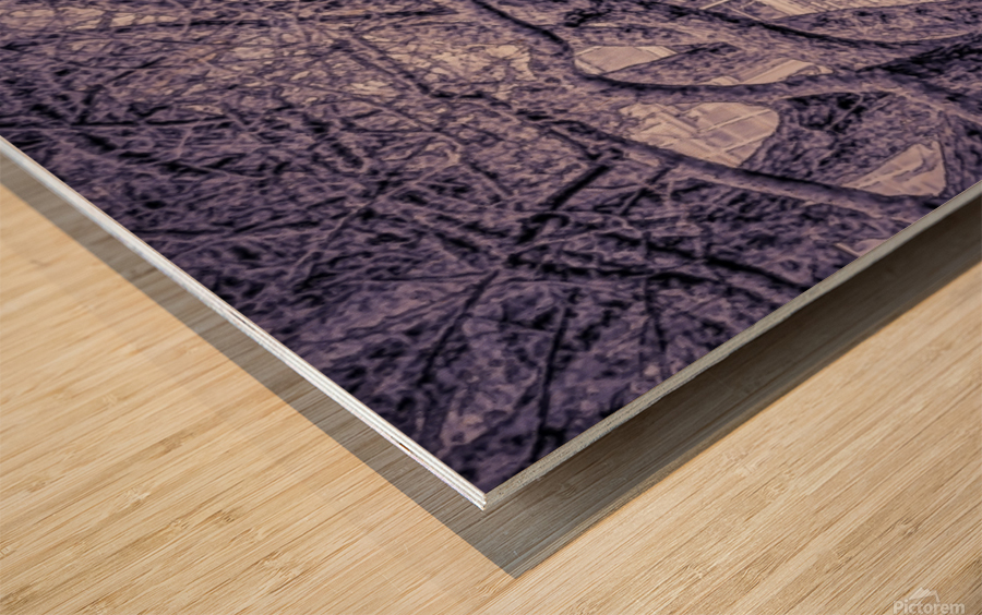 The Winter Tunnel Wood print