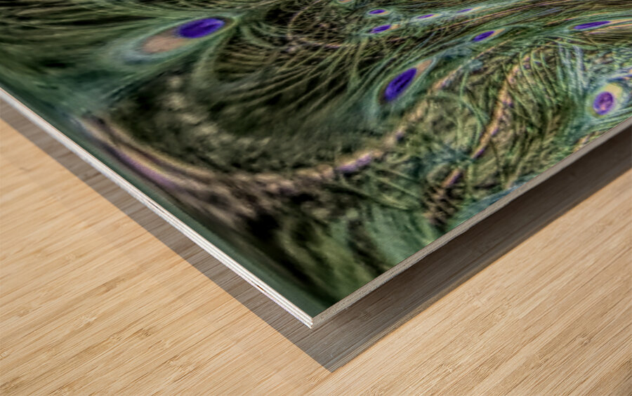 Peacock Underwater Wood print